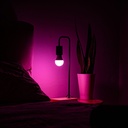 Shelly_Multicolor_bulb_-_bedroom_light_1.jpg