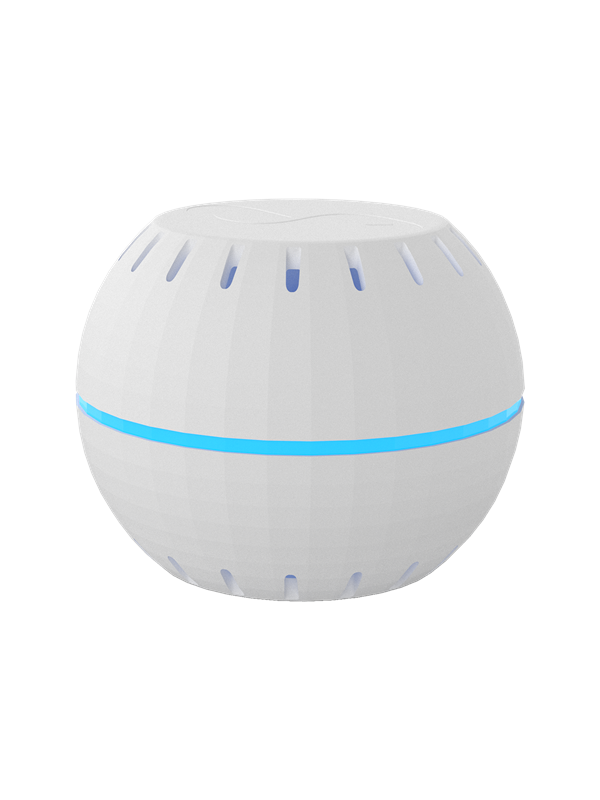 [3800235262252] Shelly H&T White